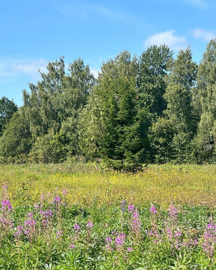 земля городской округ Клин д Вертково 68 км, Новопетровское, Новорижское шоссе фото 38