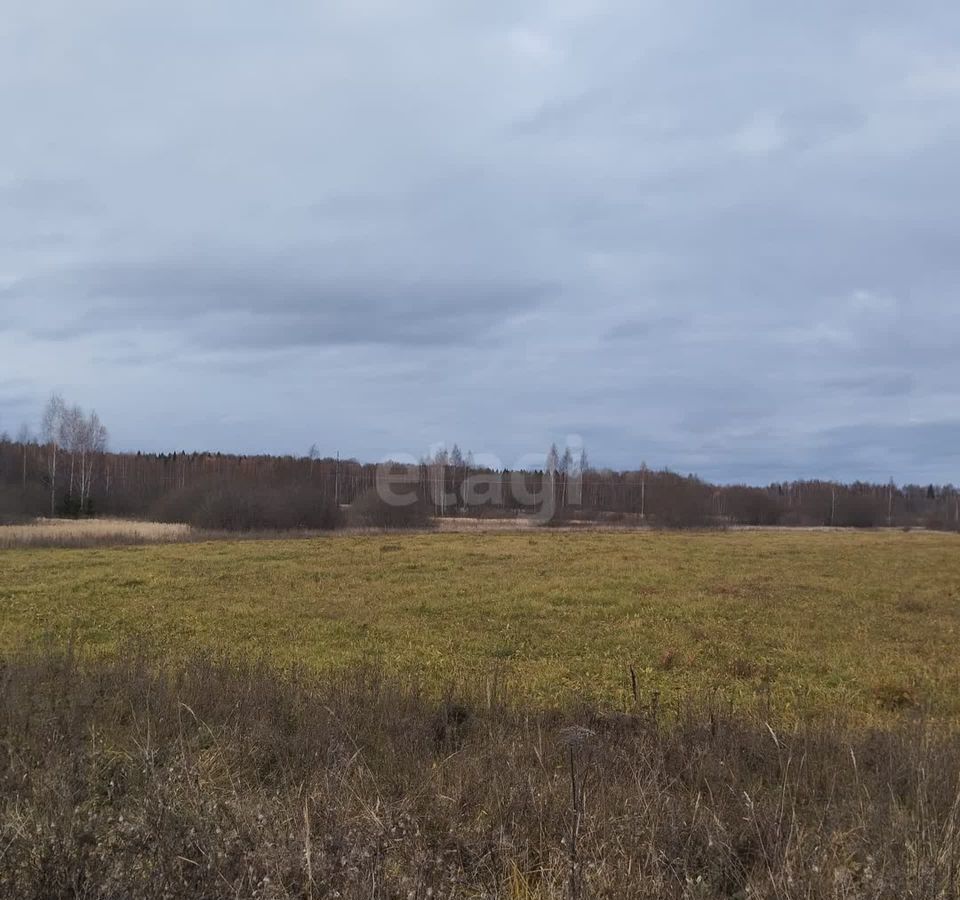 земля р-н Красносельский пгт Красное-на-Волге пл Красная городское поселение Красное-на-Волге фото 1