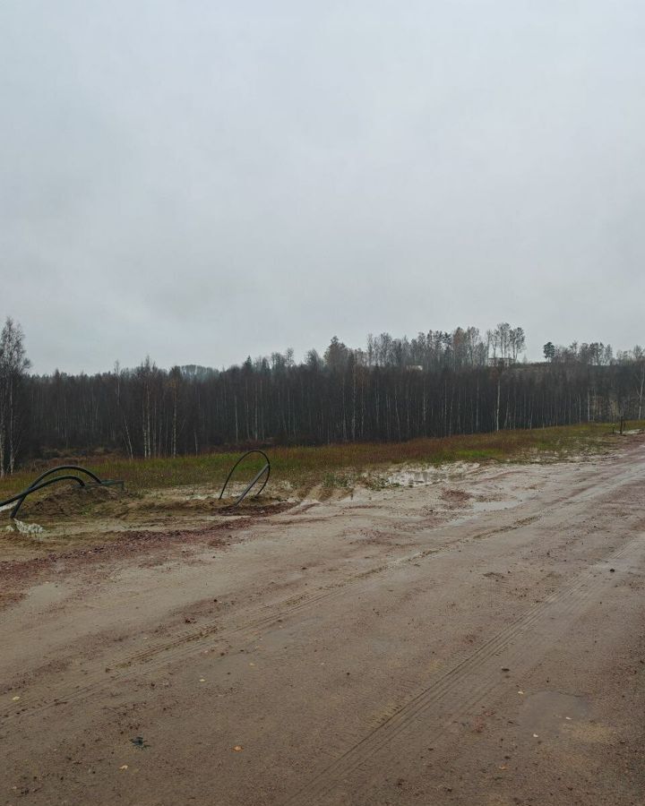 земля р-н Всеволожский д Кирполье Мурманское шоссе, 9 км, Колтушское городское поселение, Колтуши фото 2