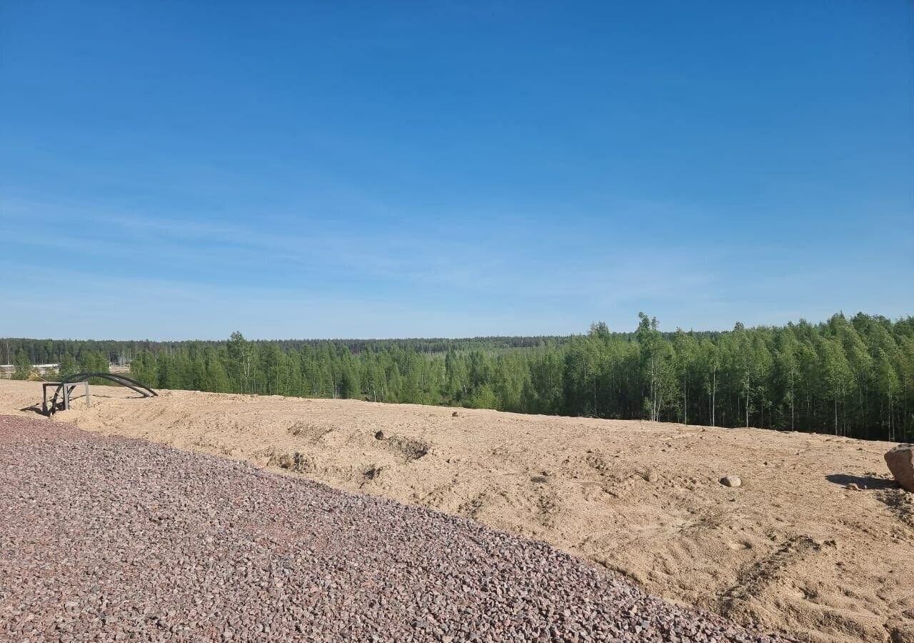 земля р-н Всеволожский д Кирполье Мурманское шоссе, 9 км, Колтушское городское поселение, Колтуши фото 5