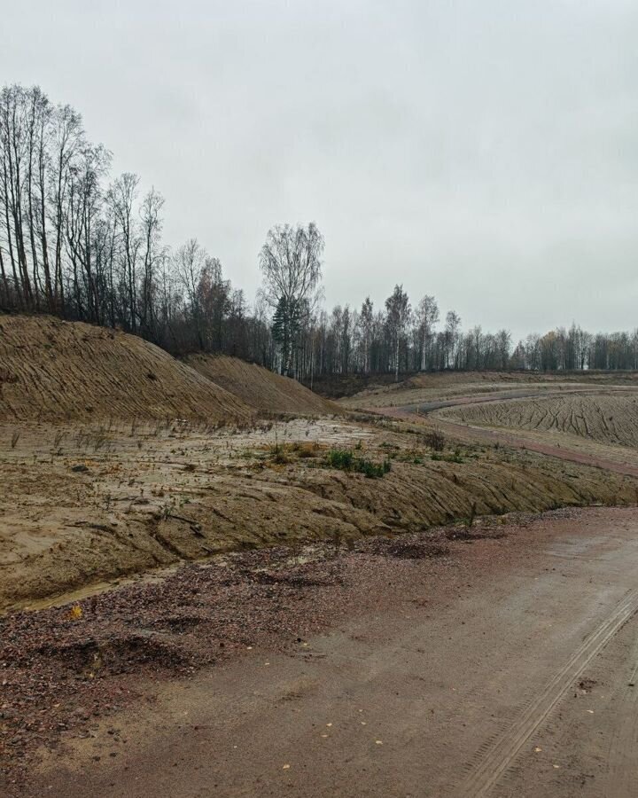 земля р-н Всеволожский д Кирполье Мурманское шоссе, 9 км, Колтушское городское поселение, Колтуши фото 13