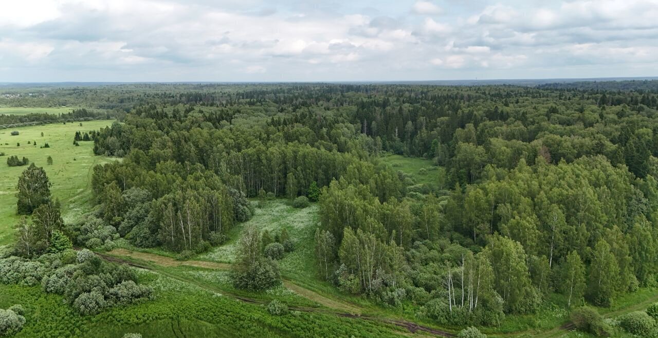 земля городской округ Истра п Глебовский 41 км, г. о. Истра, Волоколамское шоссе фото 2