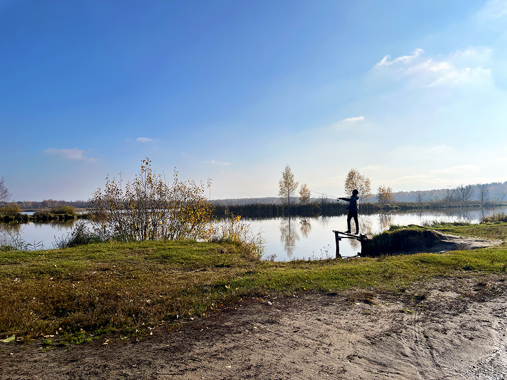 дом городской округ Егорьевск д Алфёрово снт Ромашка фото 22