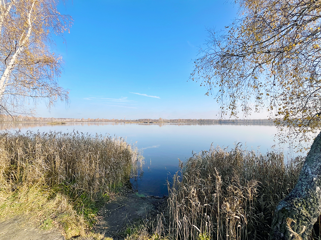 дом городской округ Егорьевск д Алфёрово снт Ромашка фото 23