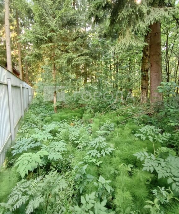 земля городской округ Раменский п Гжелка Раменское, территория Самар-1, 207 фото 8