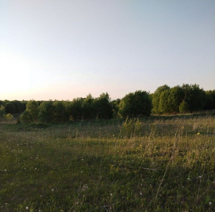 земля р-н Ломоносовский Гостилицкое с/пос, Нескучная дача дп, 2 фото 4