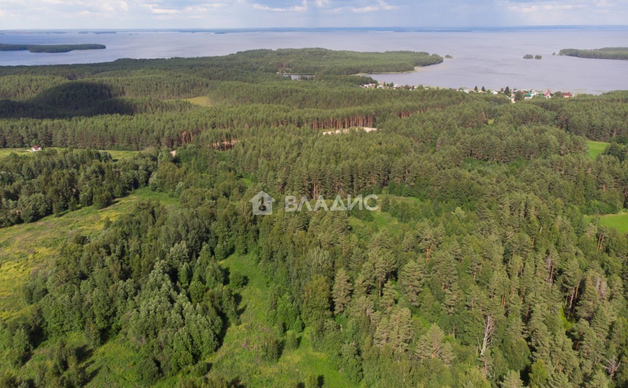 земля р-н Пряжинский д Курмойла Эссойльское сельское поселение, Пряжа фото 11