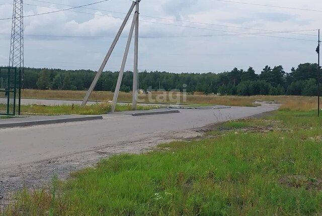 земля с Большое Чаусово фото