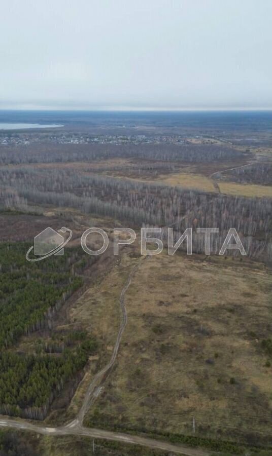 земля р-н Нижнетавдинский снт Царицыно Тюмень фото 3