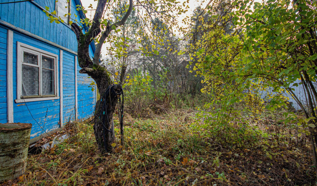 дом городской округ Наро-Фоминский Апрелевка, СНТ Дружба-РУДН, 161 фото 10