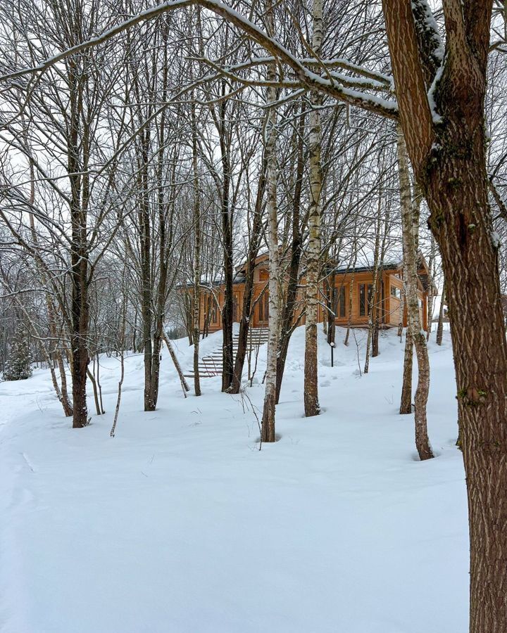 дом городской округ Одинцовский д Скоково 34 км, 133, Звенигород, Минское шоссе фото 13