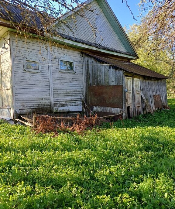 дом р-н Палкинский д Грибули ул Родовская фото 5