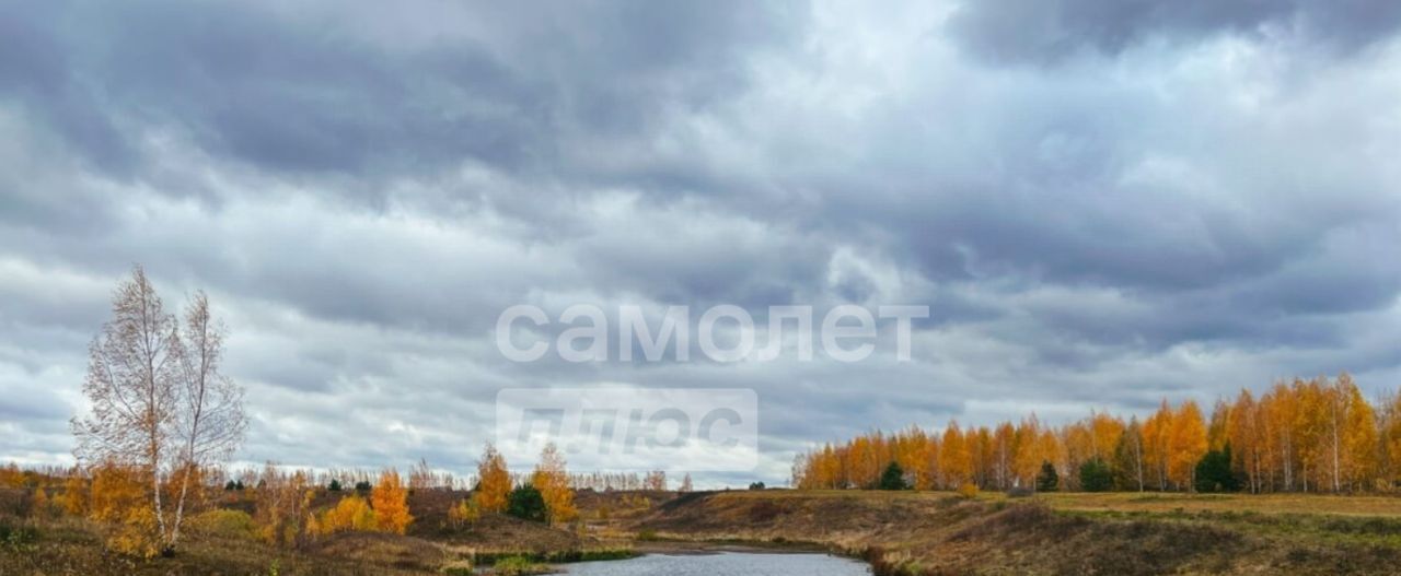 земля р-н Рязанский с Глебово Вышгородское с/пос фото 6