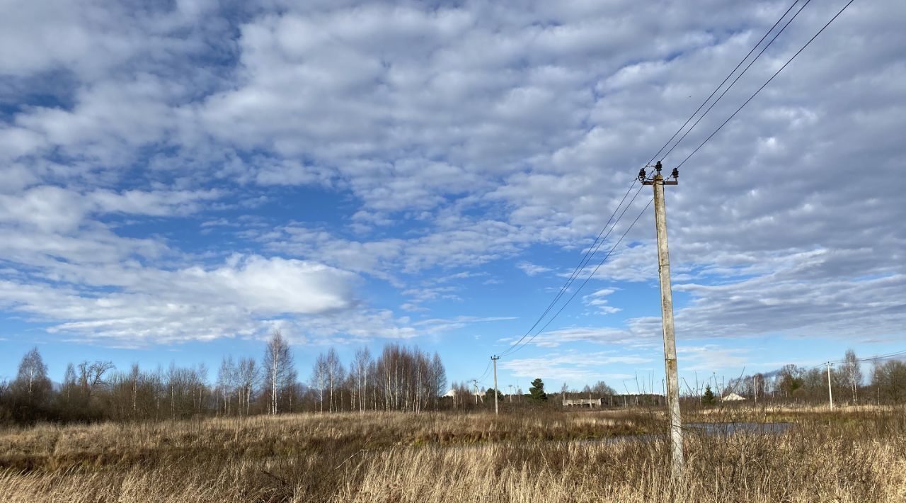 земля р-н Конаковский д Синцово фото 2