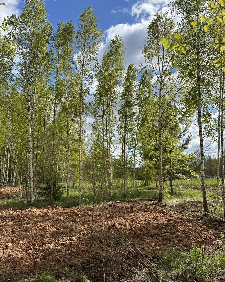 земля р-н Новгородский д Белая Гора ул Раздольная Бронницкое сельское поселение, Пролетарий фото 7