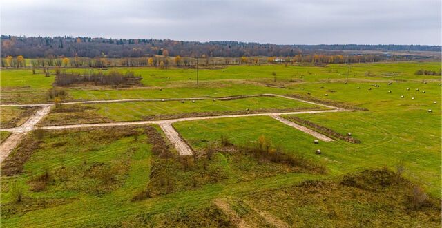 Таллинское шоссе, 24 км, Лопухинское сельское поселение фото