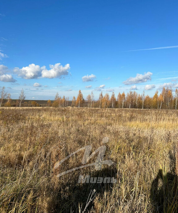 земля городской округ Серебряные Пруды д Дмитриевка фото 1