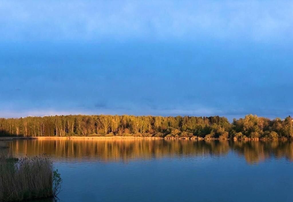 квартира городской округ Солнечногорск д Редино кв-л Сенеж Подмосковная ул., 2, Солнечногорск, д. Тимоново фото 24