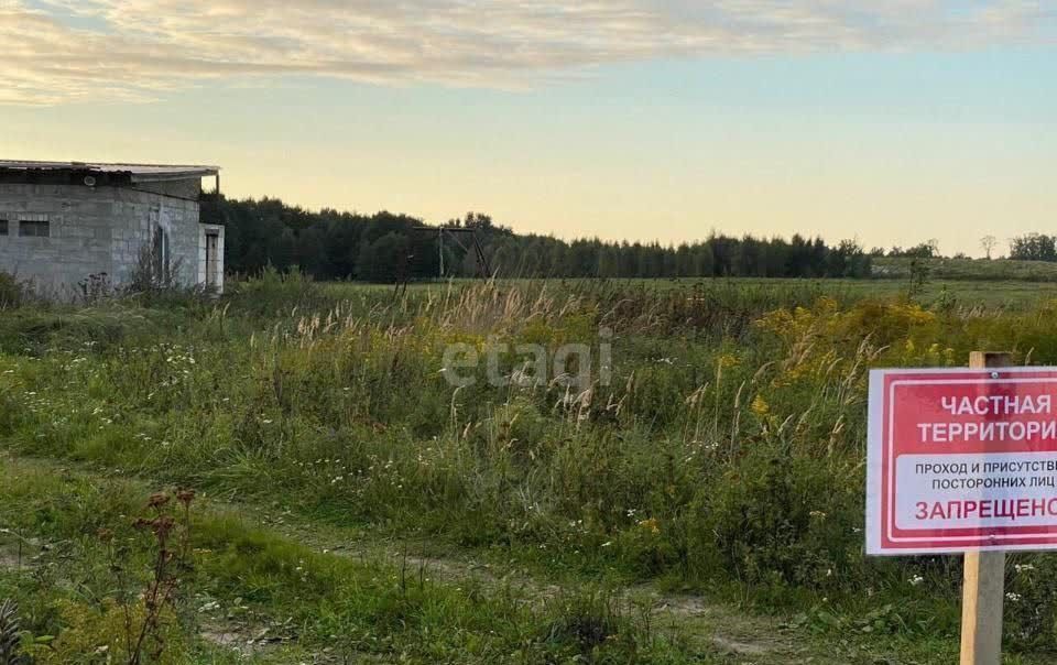 земля р-н Балтийский п Прозорово Приморск, Балтийский г. о. фото 3