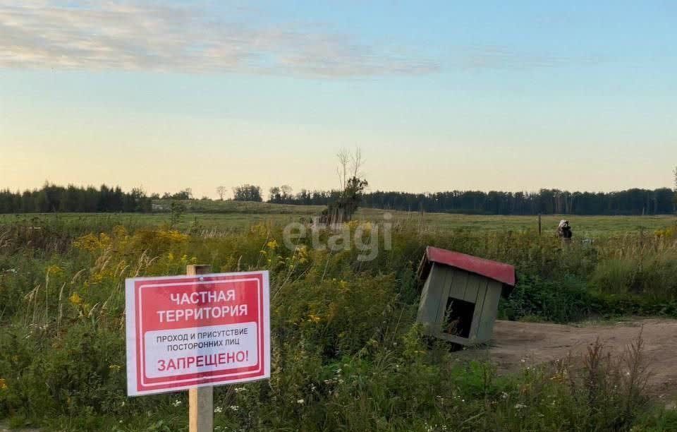 земля р-н Балтийский п Прозорово Приморск, Балтийский г. о. фото 4