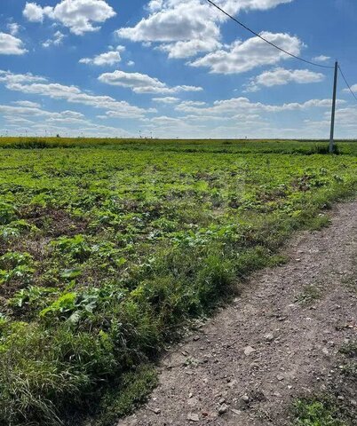 земля ул Удачная муниципальное образование, Новомосковск фото