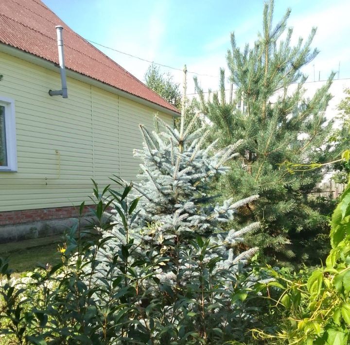 дом г Омск мкр Береговой р-н Советский ул А.М.Никандрова фото 6