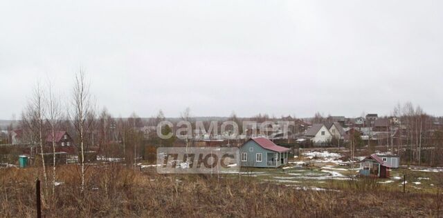 снт Заповедное озеро ДНТ, Переславль-Залесский городской округ фото