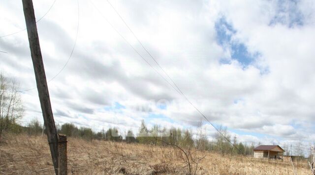 земля п Рязанцево Переславль-Залесский городской округ фото