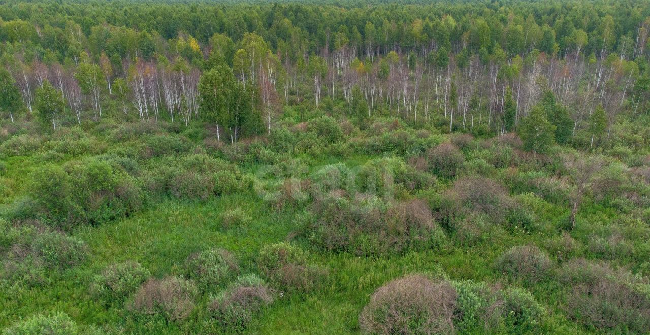 земля г Тюмень р-н Ленинский территория СОСН Сирень фото 26