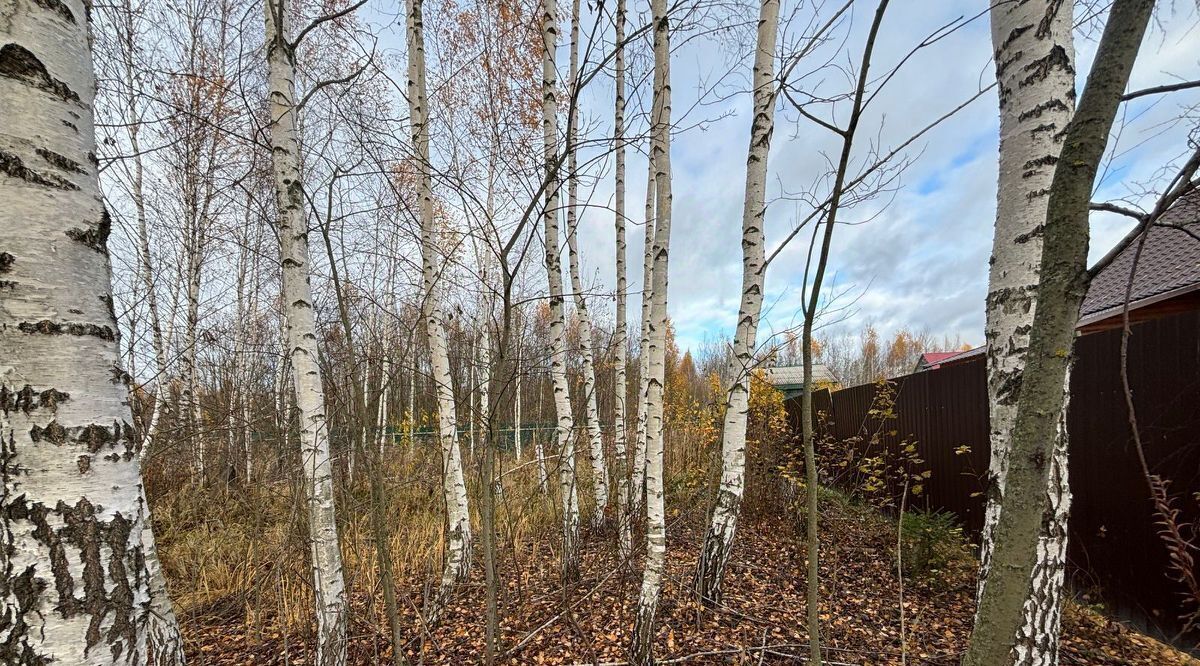 земля г Раменское снт тер.Заворовский дачник Раменский городской округ фото 6