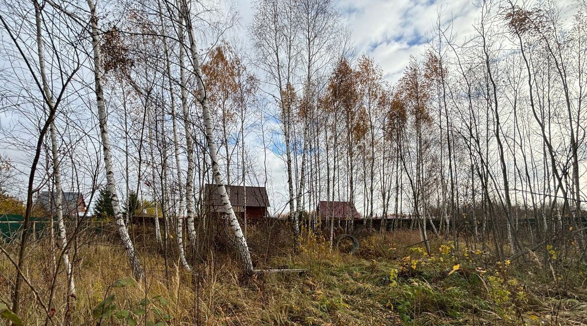 земля г Раменское снт тер.Заворовский дачник Раменский городской округ фото 9