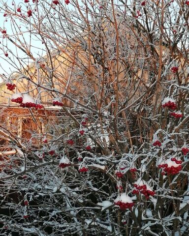 88 км, 3, Волоколамск, Новорижское шоссе фото