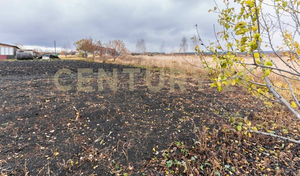 земля р-н Сенгилеевский село Новая Слобода фото 4