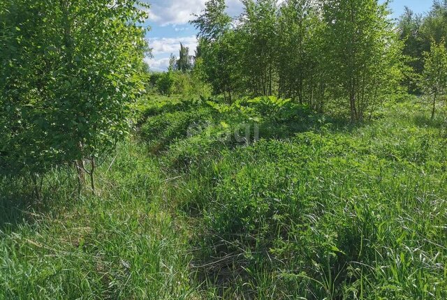 р-н Заволжский посёлок Воздвиженье фото