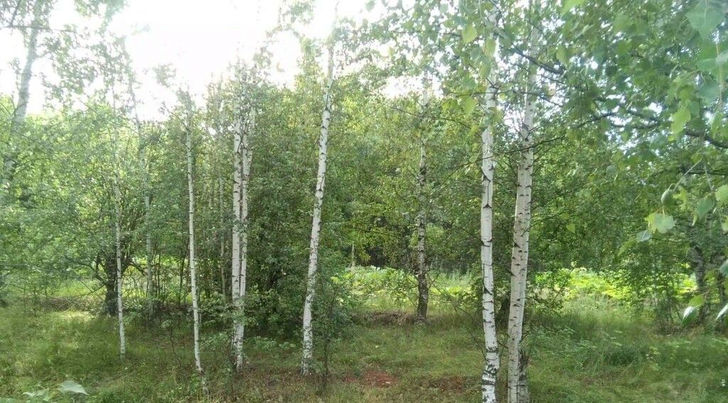 земля р-н Чкаловский д Котельницы ул Школьная Чкаловск городской округ фото 2