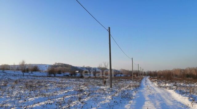 земля ул Сосновая фото