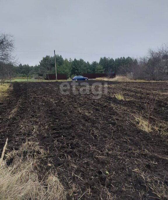 земля р-н Старооскольский снт Надежда 4 Старооскольский городской округ фото 8