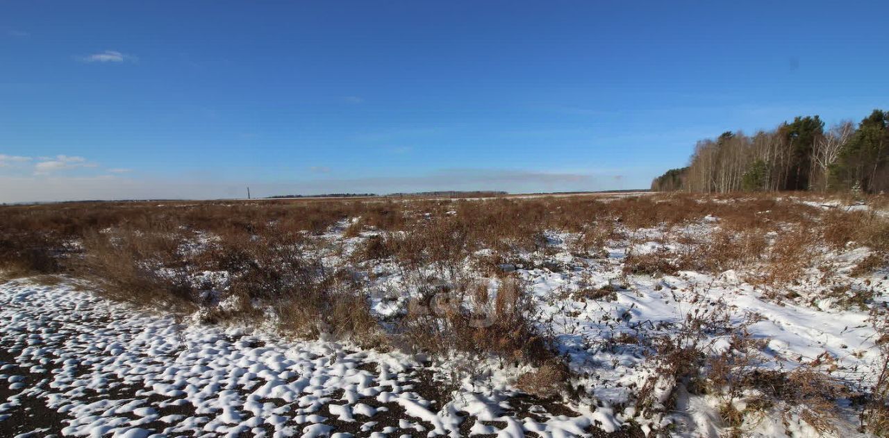 земля р-н Пригородный с Николо-Павловское ул Полевая фото 3