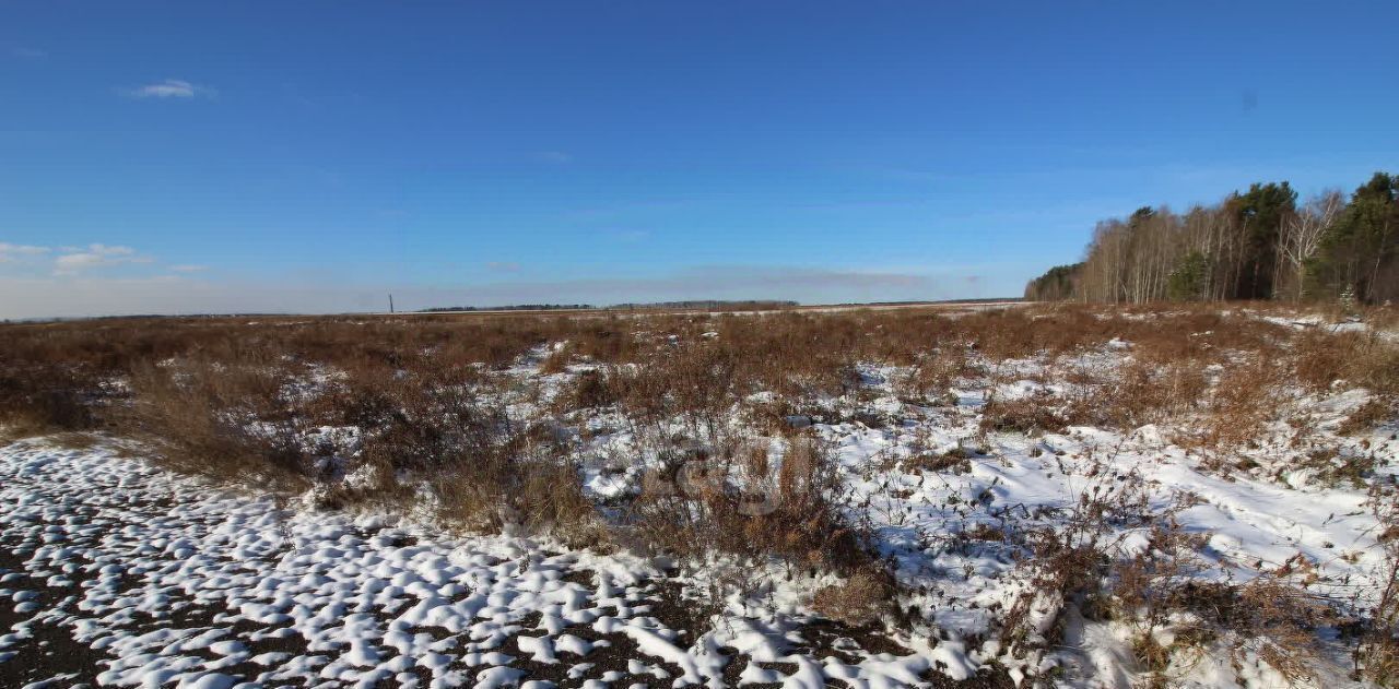 земля р-н Пригородный с Николо-Павловское фото 3