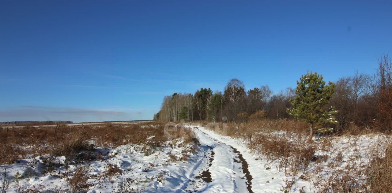 земля р-н Пригородный с Николо-Павловское фото 19