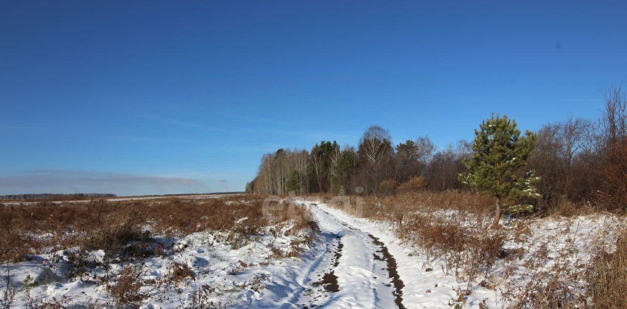 земля р-н Пригородный с Николо-Павловское ул Полевая фото 19