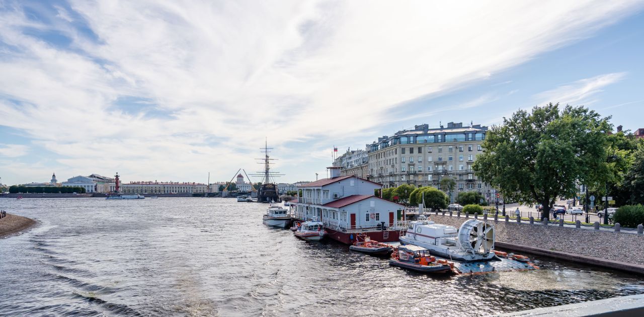 квартира г Санкт-Петербург метро Спортивная пр-кт Добролюбова 2 округ Введенский, Петроградка фото 37