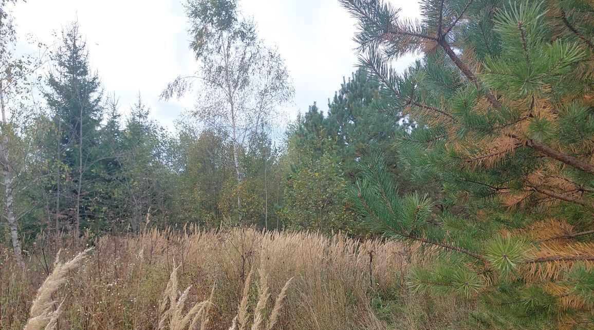 офис городской округ Наро-Фоминский г Верея фото 2