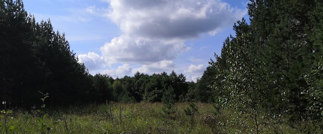 офис городской округ Орехово-Зуевский д Слободище ул Советская фото 2