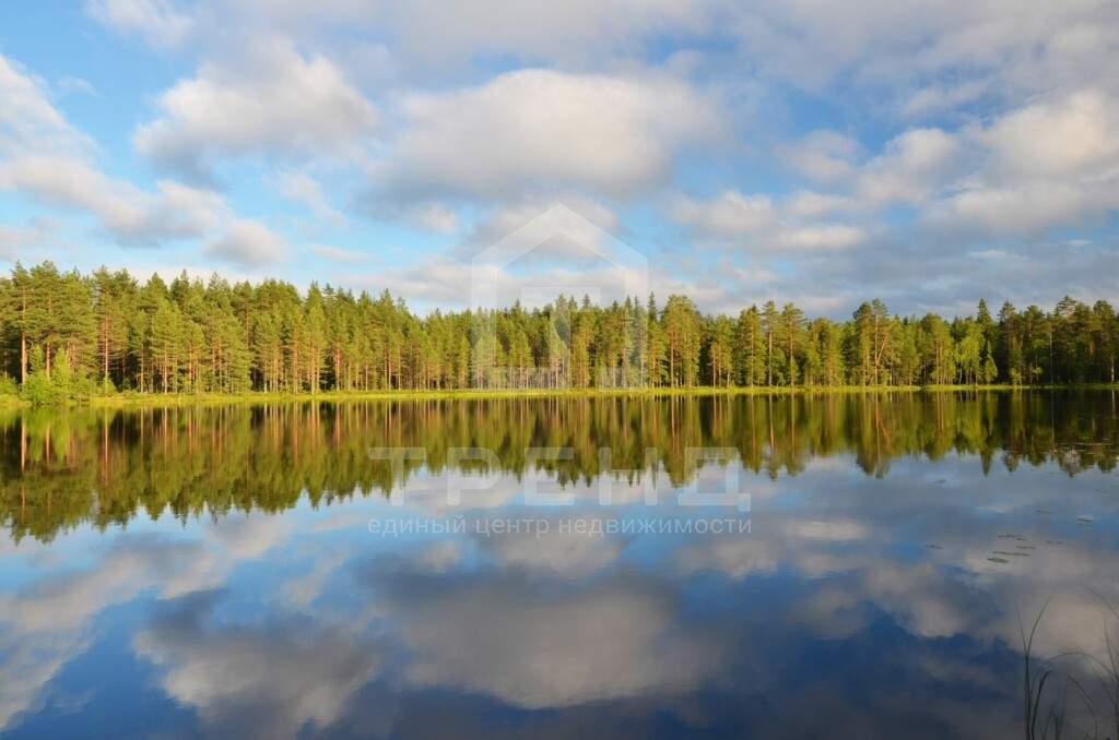 земля р-н Лужский д Петровская Горка ул Нижняя фото 3