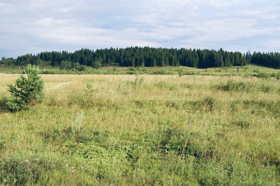 земля р-н Ильинский деревня Коршуны фото 3