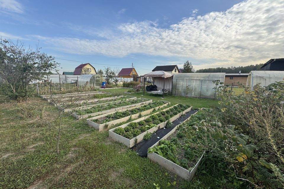 земля г Кострома городской округ Кострома, СНТ Берёзка-3 фото 1