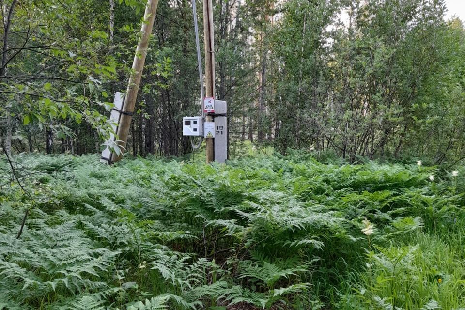 земля городской округ Ревда, село Кунгурка фото 2