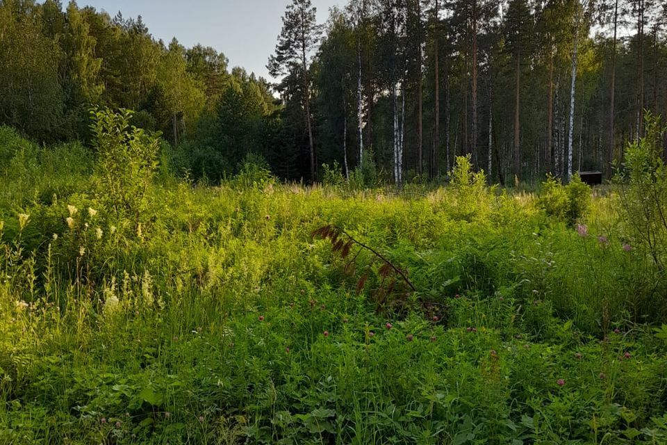 земля городской округ Ревда, село Кунгурка фото 3