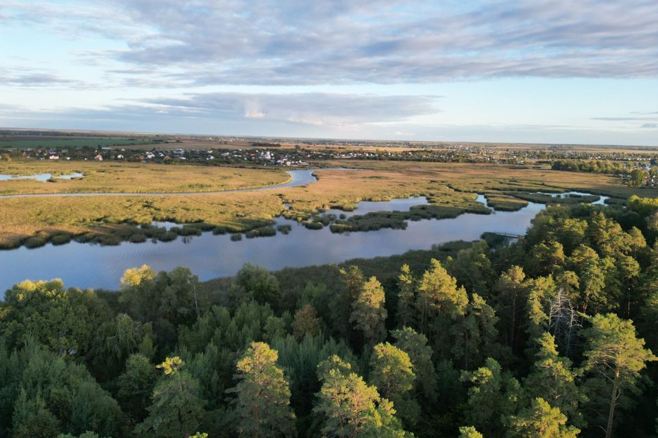 земля р-н Чердаклинский фото 2